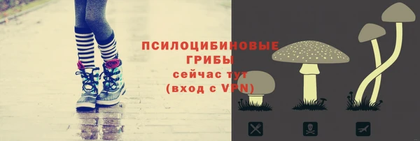мдпв Зеленодольск