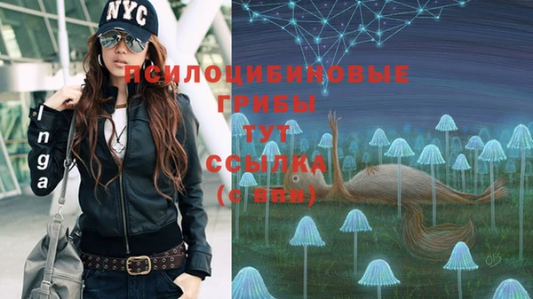 мдпв Зеленодольск