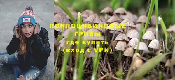мдпв Зеленодольск